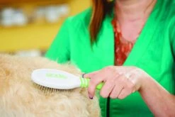 Andis Pin Brush - Large -Oz Grooming World AN 65720 2