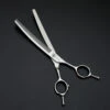 Groomtech Aries Shear Curved 60 Tooth Thinner 7"