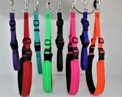 GroomTech Biothane Belly Strap Set - Teal -Oz Grooming World GT BS01 4