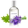 IGroom Lavender Pet Perfume 100ml -Oz Grooming World IG PLA1