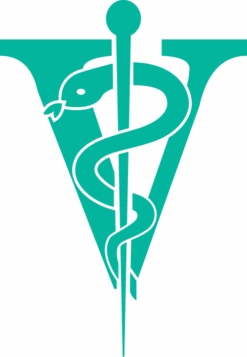 Joyzze Hornet Mini Trimmer 2 Speed [Teal] -Oz Grooming World JY 99027 7