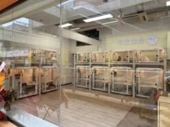 Pilton Smart Cat Cabin Condo C01 -Oz Grooming World PI C01 3