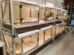 Pilton Mini Smart Pet Cabin Dog Cage & Cat Condo M01 18 Pilton Mini Smart Pet Cabin Dog Cage & Cat Condo M01 -Oz Grooming World PI M01 1