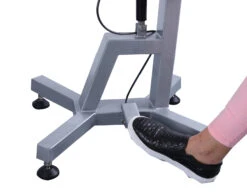 Shernbao Round Air Lift Table (Pink)