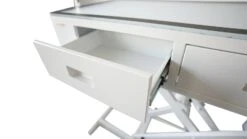 Shernbao Attractive LED Electric Lifting Table With Drawers 6 Shernbao Attractive LED Electric Lifting Table With Drawers -Oz Grooming World S FT879 1