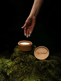 The Sentinel H11 Super White Chalk Block