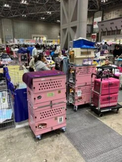 SolidPet Folding Dog Show Aircraft Cage Set With Trolley Size 2 - Pink -Oz Grooming World SP ALAC216 PI22 1