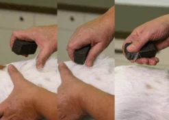 Show Tech Stripping Stone 9x6x2.5cm -Oz Grooming World ST 90070 1