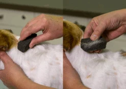 Show Tech Stripping Stone 9x6x2.5cm -Oz Grooming World ST 90070 2