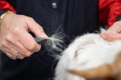 Show Tech Comfy Stripping Stick 13mm Double Sided -Oz Grooming World ST 95086 2