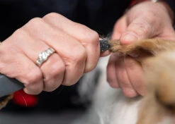 Show Tech Comfy Stripping Stick 13mm Double Sided