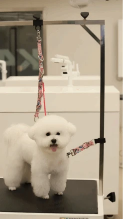 Aeolus Biothane Grooming Safety Tether Extension Strap - Pink Print -Oz Grooming World T BIOHGS P01 1