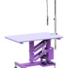 Aeolus Classic Z Shape Electric Lifting Table - Medium [Purple]