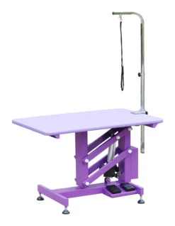 Aeolus Classic Z Shape Electric Lifting Table - Medium [Purple]