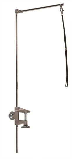 Aeolus Cost Effective Round Hydraulic Table With Single Grooming Arm -Oz Grooming World T FT807 ECO 2