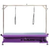 Aeolus Low-Low Electric Lifting Table [Purple]