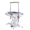 Aeolus Low-Low PRO Electric Lifting Table With Drawer -Oz Grooming World T FT808Pro DWR