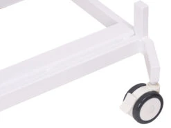 Aeolus Transportation Table With S/S Top And Removal Stretcher 9 Aeolus Transportation Table With S/S Top And Removal Stretcher -Oz Grooming World T FT835 2