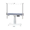 Aeolus Rectangle Grooming Table With Vertical Lift Column -Oz Grooming World T FT891