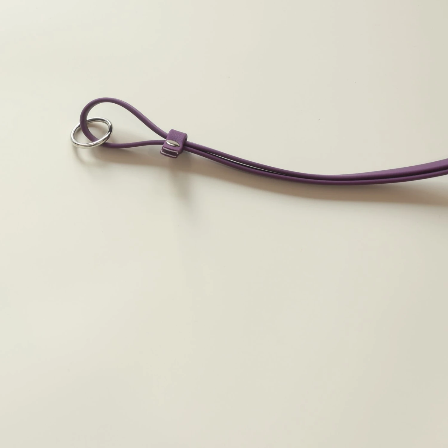 Aeolus Biothane Grooming Loop Restraint 18“ X 3/8“ - Purple 4 Aeolus Biothane Grooming Loop Restraint 18“ X 3/8“ - Purple - Image 2