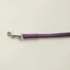 Aeolus Biothane Grooming Loop Restraint 18“ X 3/8“ - Purple
