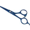 Swan Facial Scissors Round Tip 5" [Blue]