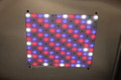 Aeolus KA509T Stainless Steel Economical ICU Cage - Medium -Oz Grooming World T UC1601M TH 2