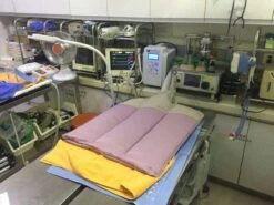 Kanistar Warmology Heat Core With Medium Reusable Warmology Bodysuit -Oz Grooming World T WMS1501 6