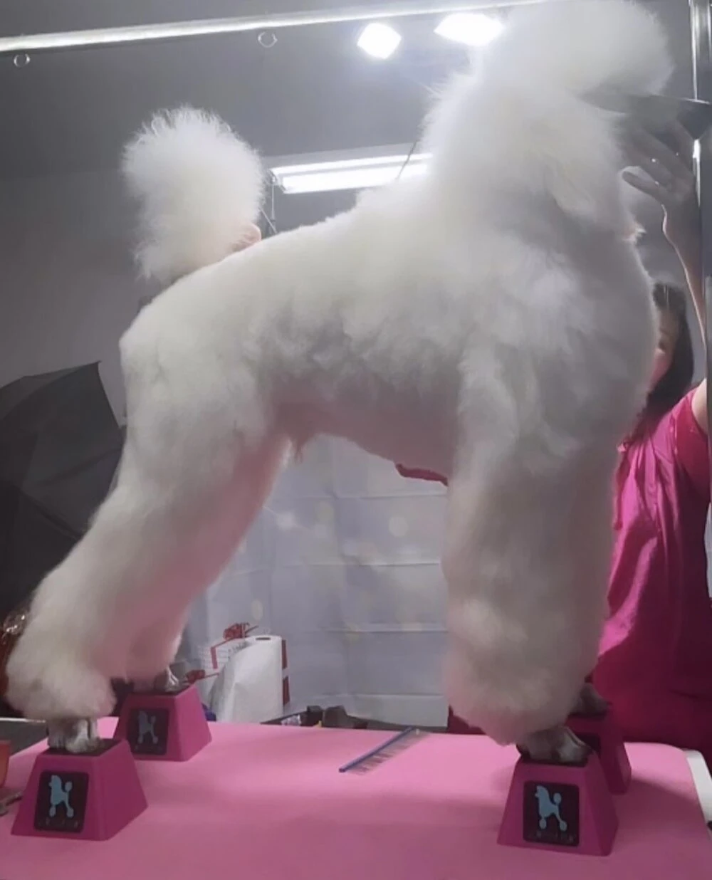 Vanity Fur Stacking Blocks Set Of 4 Small 2" X 2" - Black 5 Vanity Fur Stacking Blocks Set Of 4 Small 2" X 2" - Black - Image 3