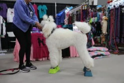 Vanity Fur Stacking Blocks Set Of 4 Small 2" X 2" - Black 14 Vanity Fur Stacking Blocks Set Of 4 Small 2" X 2" - Black -Oz Grooming World VF STB BLK S 3