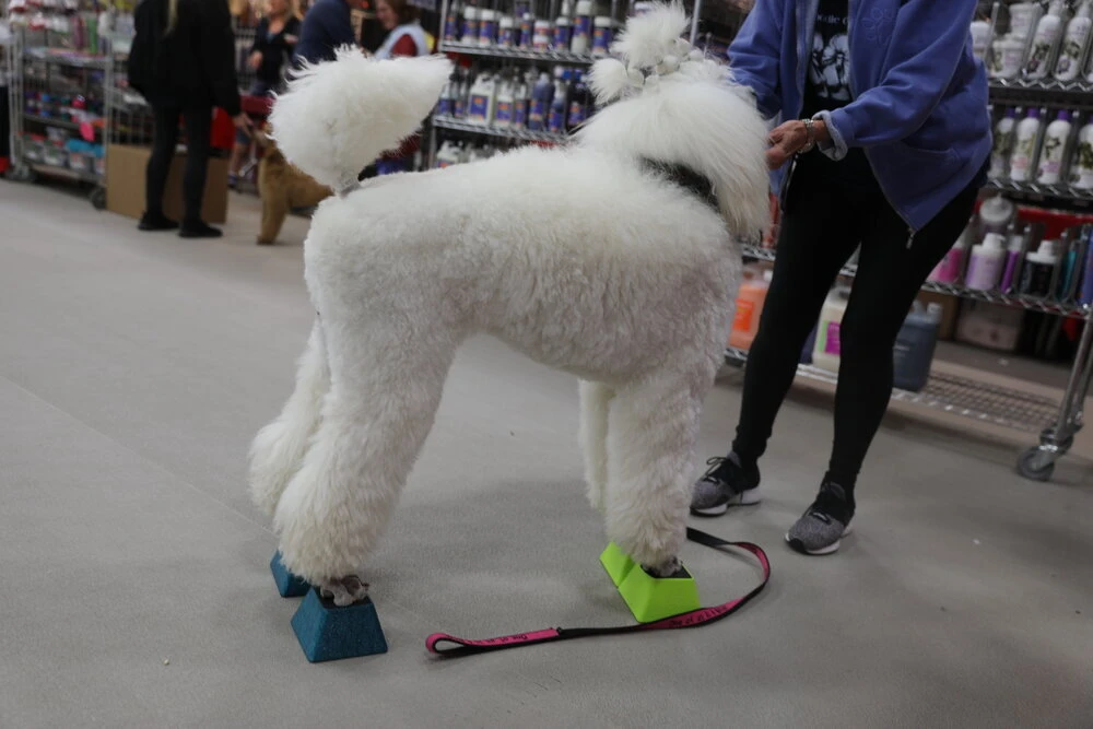 Vanity Fur Stacking Blocks Set Of 4 Small 2" X 2" - Black 10 Vanity Fur Stacking Blocks Set Of 4 Small 2" X 2" - Black - Image 8
