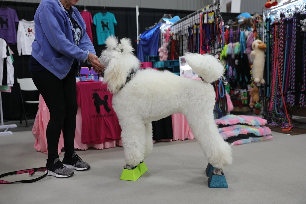 Vanity Fur Stacking Blocks Set Of 4 Medium 3" X 3" - Jolly Purple 6 Vanity Fur Stacking Blocks Set Of 4 Medium 3" X 3" - Jolly Purple - Image 4