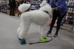 Vanity Fur Stacking Blocks Set Of 4 Large 4" X 4" - Light Pink 18 Vanity Fur Stacking Blocks Set Of 4 Large 4" X 4" - Light Pink -Oz Grooming World VF STB LTP L 7