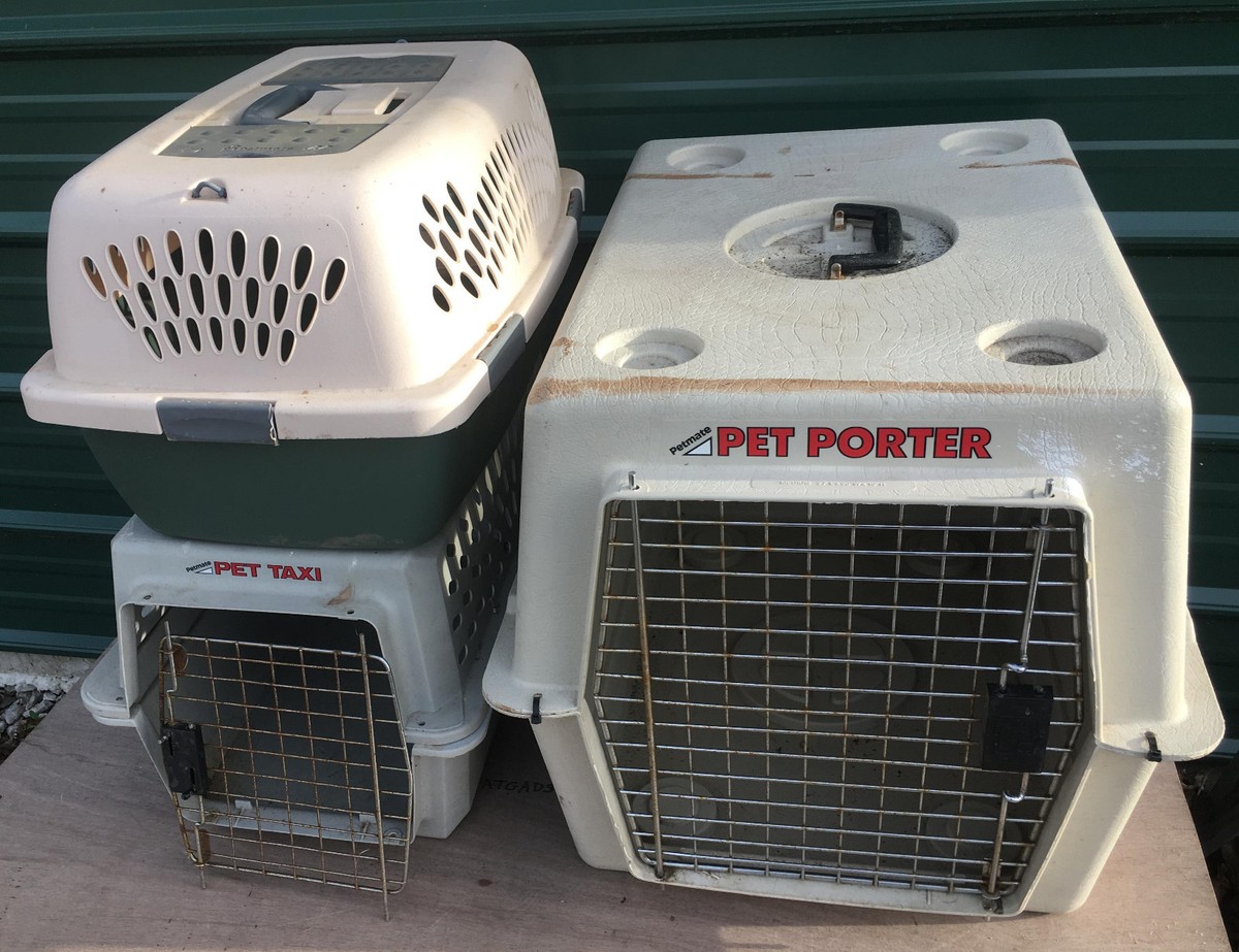 Oz Grooming World -Oz Grooming World s l1200 20